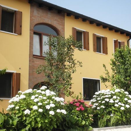 B&B Ai Ciliegi Mogliano Veneto Zewnętrze zdjęcie