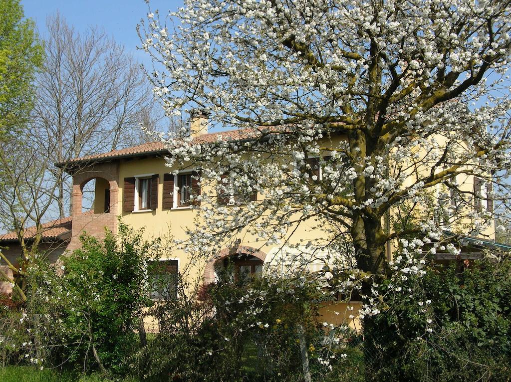 B&B Ai Ciliegi Mogliano Veneto Zewnętrze zdjęcie